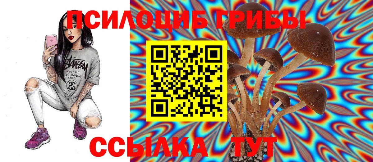 купить закладку  Псилоцибиновые грибы MAGIC MUSHROOMS  Вход с VPN  Калуга  Псилоцибиновые грибы Magic Shrooms 
